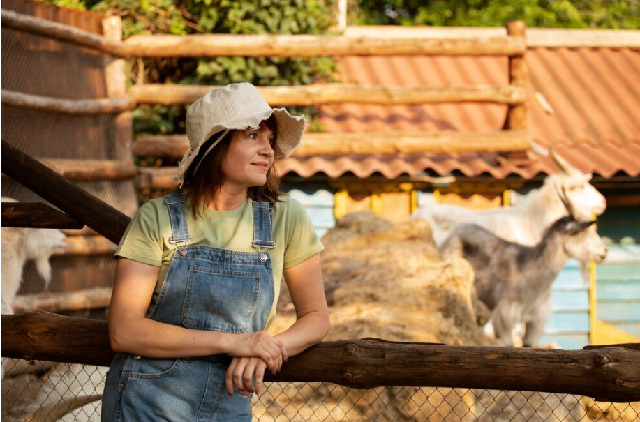 Livestock Sector in Spain