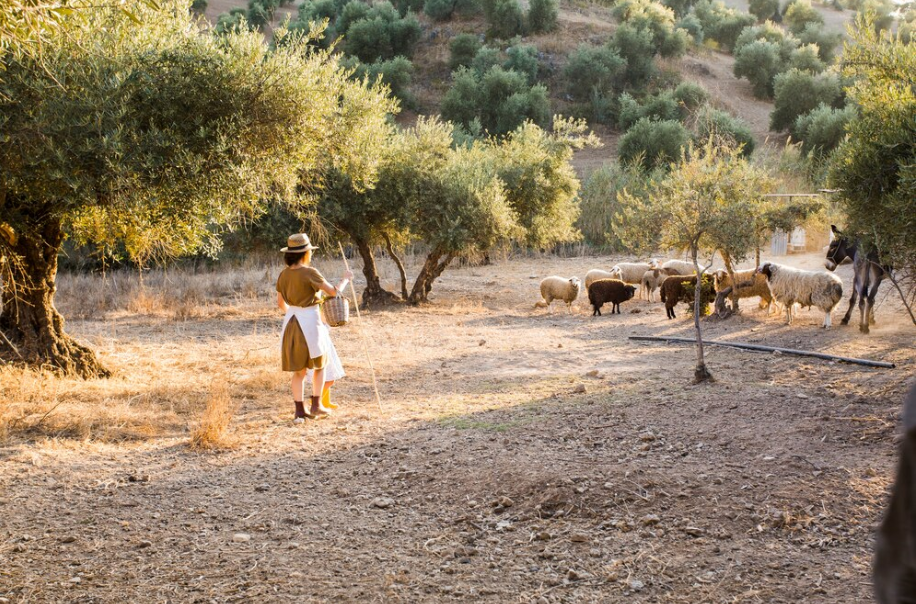 Livestock Sector in Spain